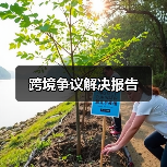 跨境争议解决报告(图4) 跨境争议解决报告(图4)