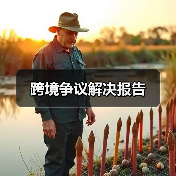 跨境争议解决报告(图1) 跨境争议解决报告(图1)