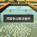 跨境争议解决报告(图3) 跨境争议解决报告(图3)